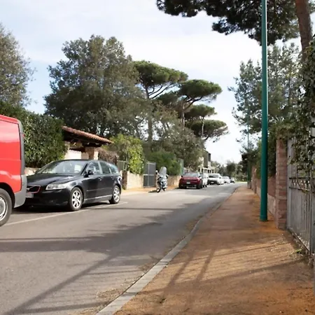 Apartment Ortensie Tirrenia